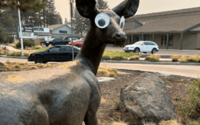 Googly Eyes on Art? Bend Says It’s Not a Laughing Matter (Residents Disagree)