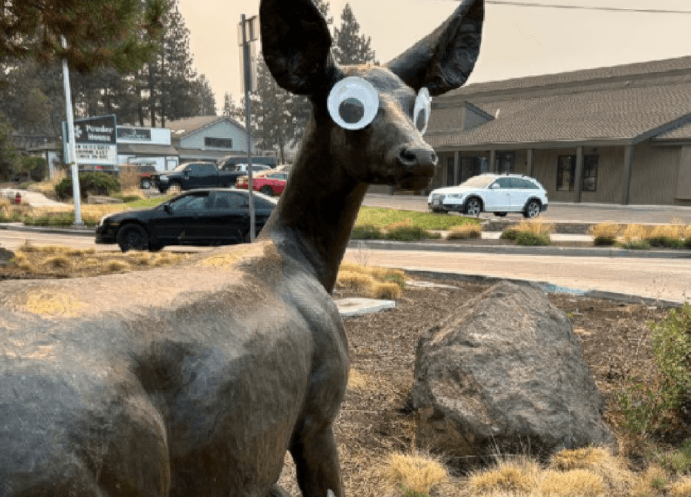 Googly Eyes on Art? Bend Says It’s Not a Laughing Matter (Residents