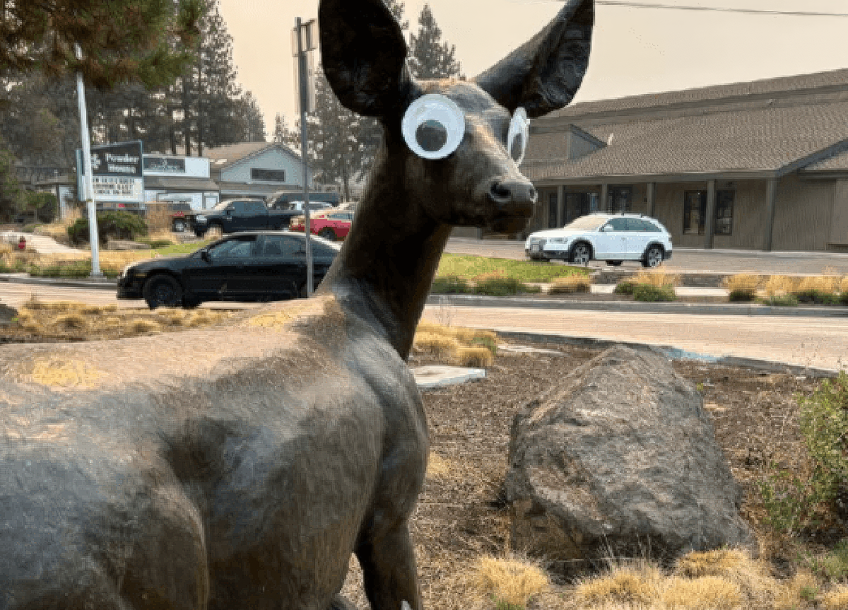 googly eyes bend oregon