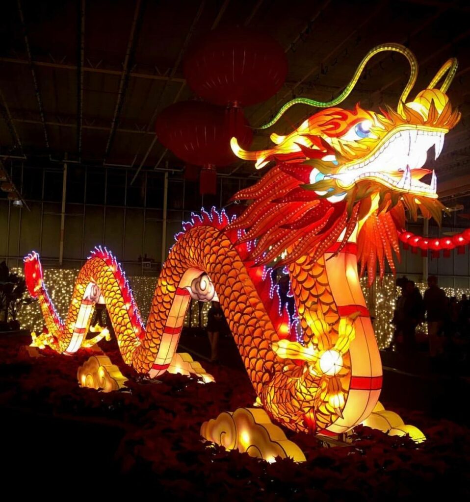 A huge light up red and gold Chinese dragon.