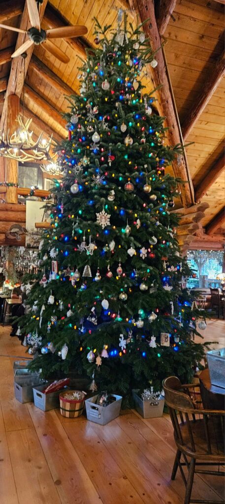 A massive Christmas tree covered in ornaments and lights.