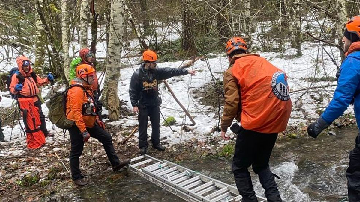 Search for men in forest