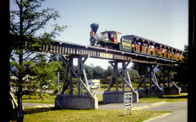 Forgotten Family Slides Reveal Oregon’s Lost Theme Park, The Disneyland That Never Was