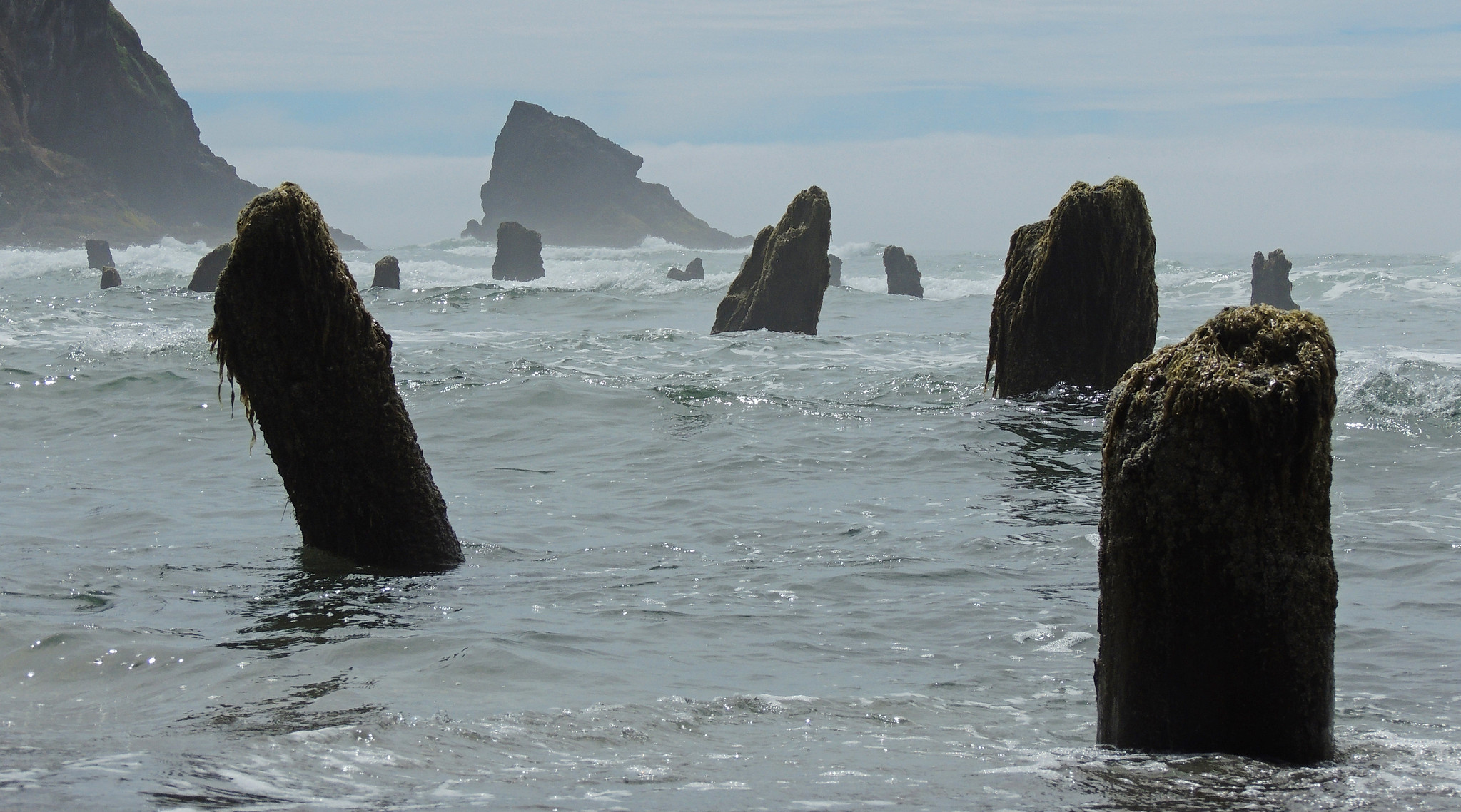 Cascadia Earthquake, 1700, Evidence, Geologic Features, Ghost Forests, Subduction Zone, Japanese Tsunami, Native American Legends, Oral Tradition, Thunderbird and Whale, Oregon, Pacific Northwest, PNW Quake, Oregon History, Washington History