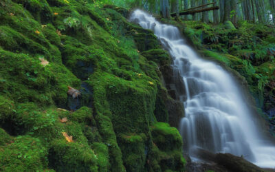 Oregon’s Cascades Are Hiding A Water Reservoir Bigger Than Lake Mead