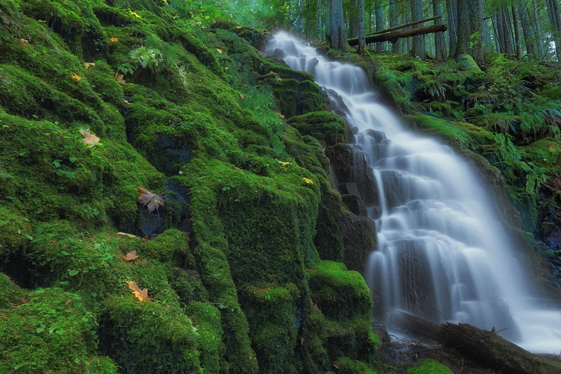 A waterfall in the Cascades of Oregon.