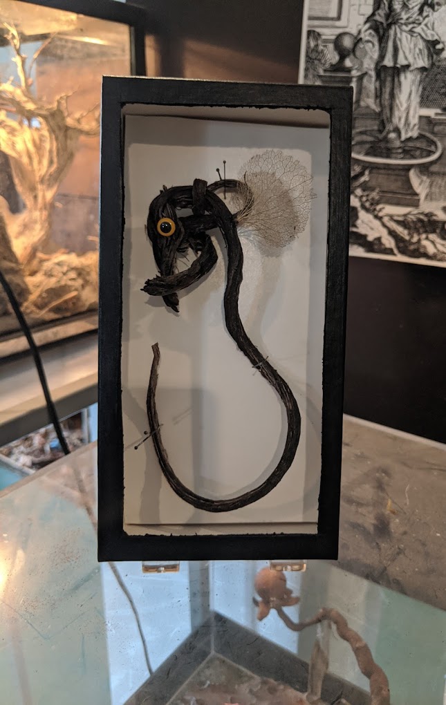 A creature on display at at the Zymoglyphic Museum in Portland, Oregon.