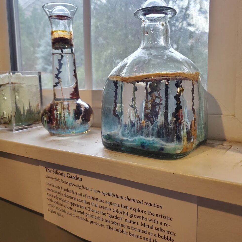 The Zymoglyphic Museum in Portland Will Leave You Scratching Your Head ...