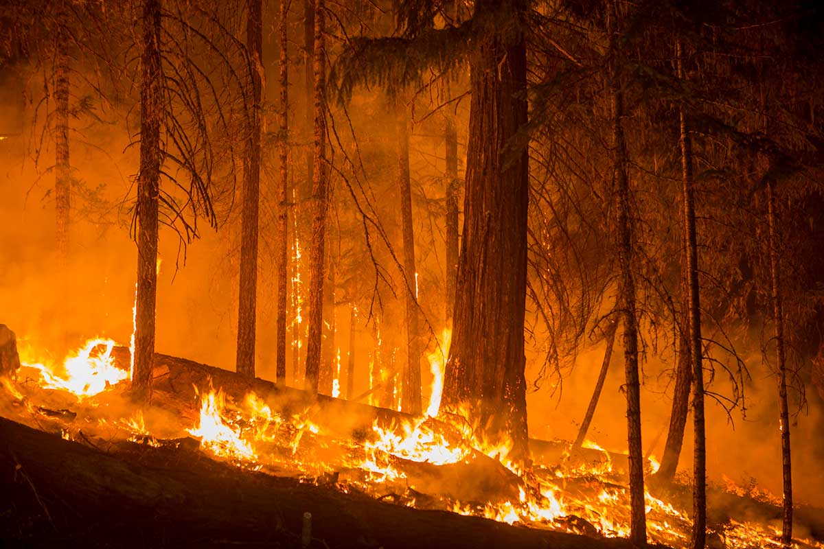 wildfires in oregon