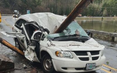 Man and His Dogs Survive Terrifying Highway 126 Incident as Falling Trees Impale Car