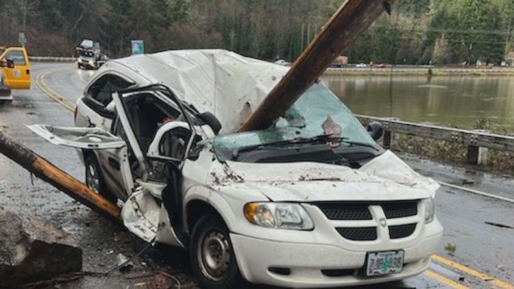 a car hit by tree mckenzie river