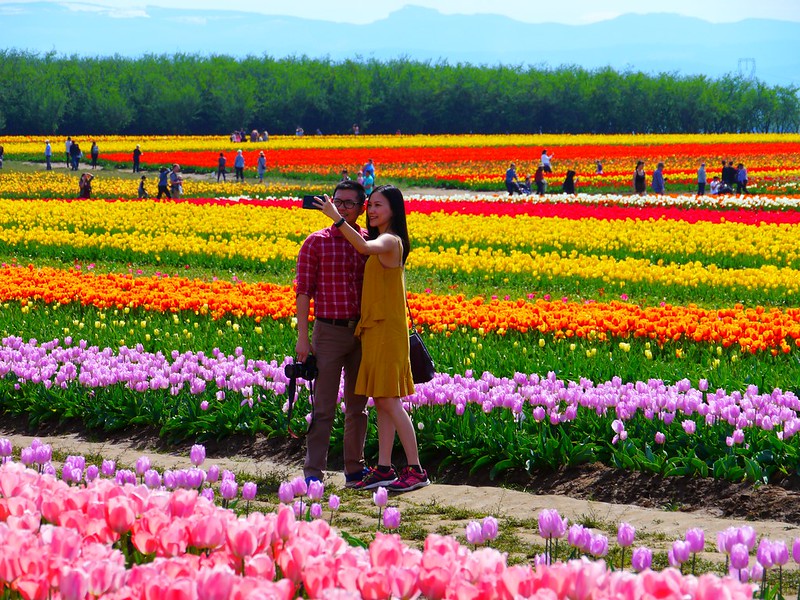 A couple takes a selfie in a field with rows and rows of vibrantly colored tulips. The Wooden Shoe Tulip Festival is a great place to take pictures.