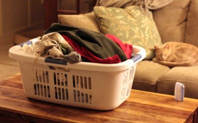 Forgotten Laundry Basket Scheduled for Relocation Delayed Due to Lack of Motivation