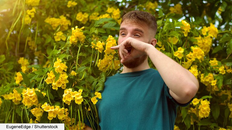 Oregon Man With Allergies Can’t Wait for Spring to Turn His Face Into a Leaky Faucet