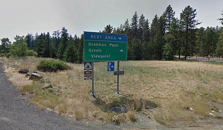 Inconvenient Child Declares, “Mom, I Have to Go. Like, Really Bad”—Right After the Final Rest Stop for 50 Miles