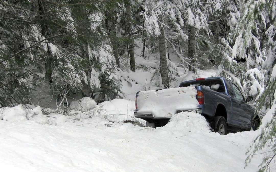 Road Rage Enthusiast Finds Peaceful Reflection Spot in Icy Ditch