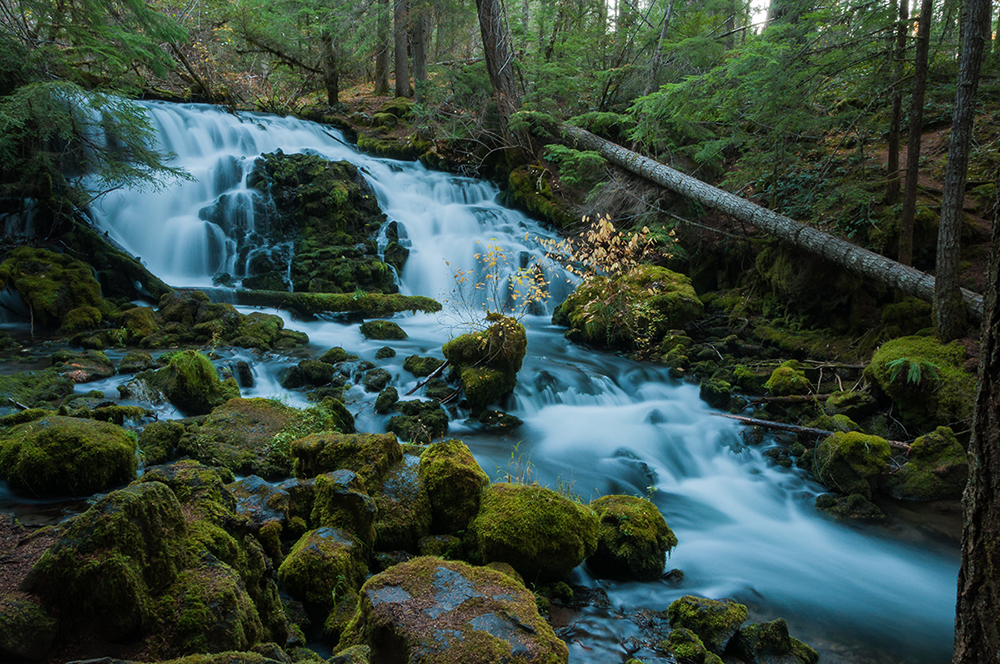 pearsony falls