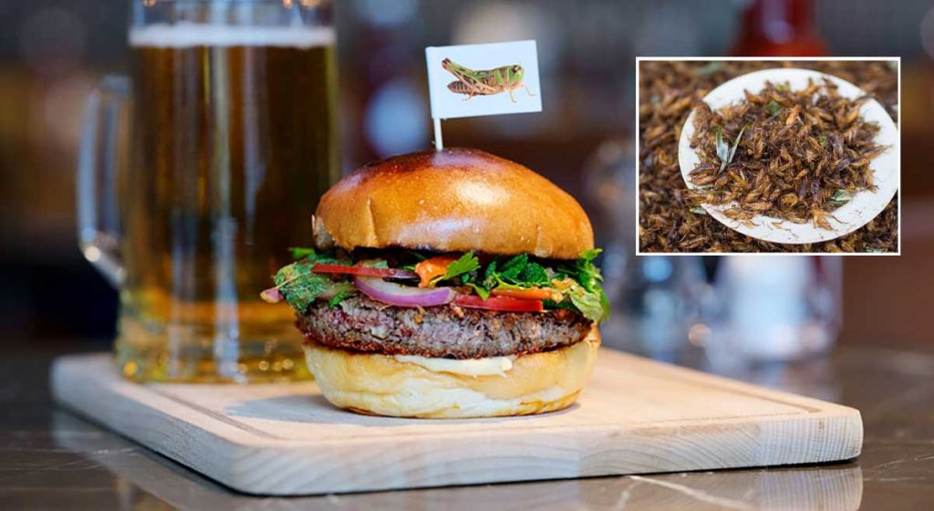 Cricket Burger
