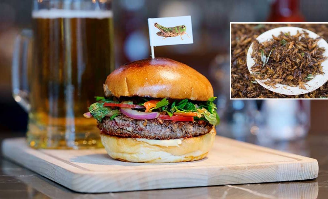 Impossible Foods Reinvents the Burger—Now With 100% Ground Crickets for That Extra Crunch