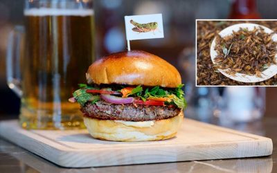 Impossible Foods Reinvents the Burger—Now With 100% Ground Crickets for That Extra Crunch