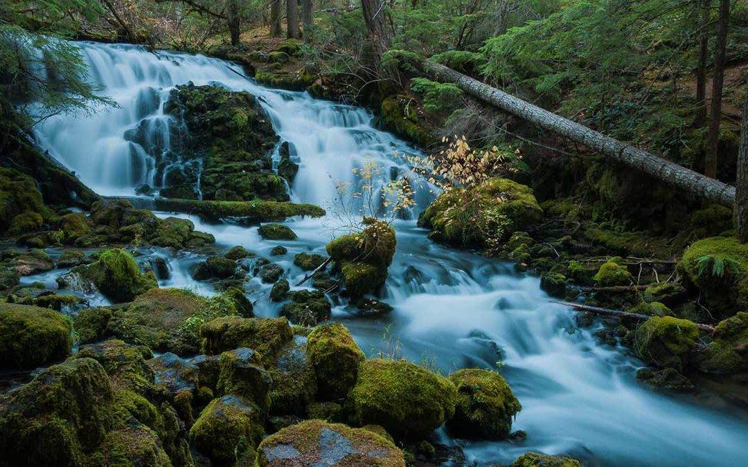 10 Oregon Hikes So Pretty They’ll Make You Forget About Your Seasonal Depression