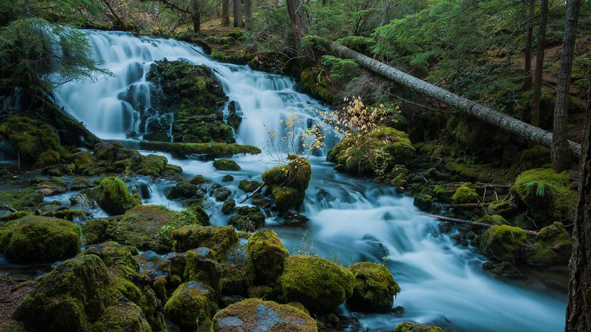 Pearsony Falls