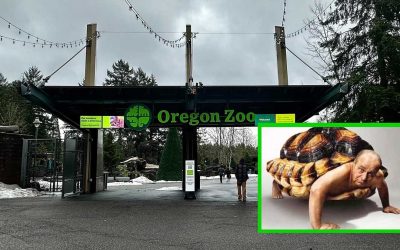 Man Who Identifies as Turtle Requests Residency at Oregon Zoo, Cites ‘Natural Habitat’