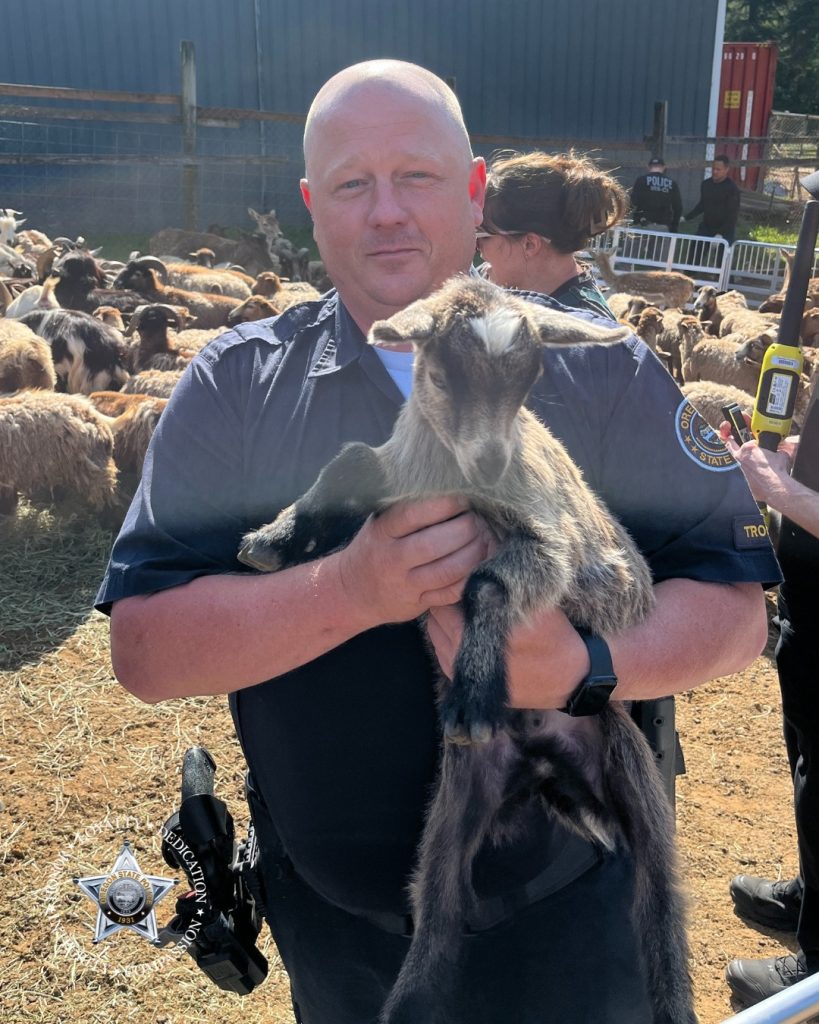 west coast game park safari, criminal investigation, drugs, firearms, oregon state police, meth, illegal activities, cocaine, cash