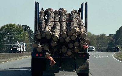 New Final Destination In Theaters, but 90s Kids Still White-Knuckling Steering Wheels Behind Logging Trucks Say “Absolutely Not”