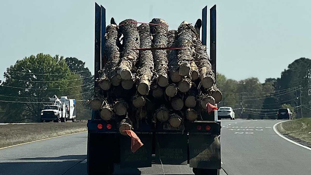 log truck