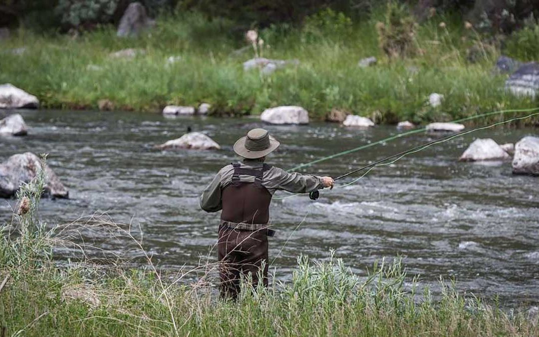 New Oregon Law Requires Fish to Verbally Consent Before Being Caught