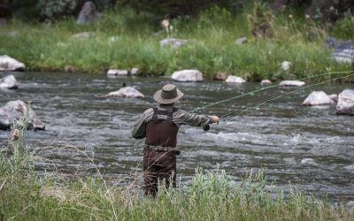 New Oregon Law Requires Fish to Verbally Consent Before Being Caught