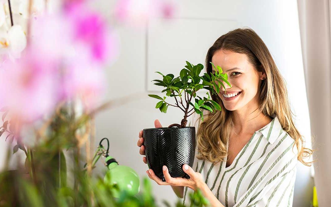 Man Stares Blankly as Wife Introduces 86th Plant This Year