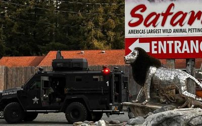 Authorities Raid West Coast Game Park Safari in Bandon Over Suspected Animal Abuse
