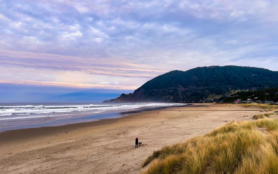 Another Stretch Of Oregon Coastline Goes Car-Free, Here’s Why