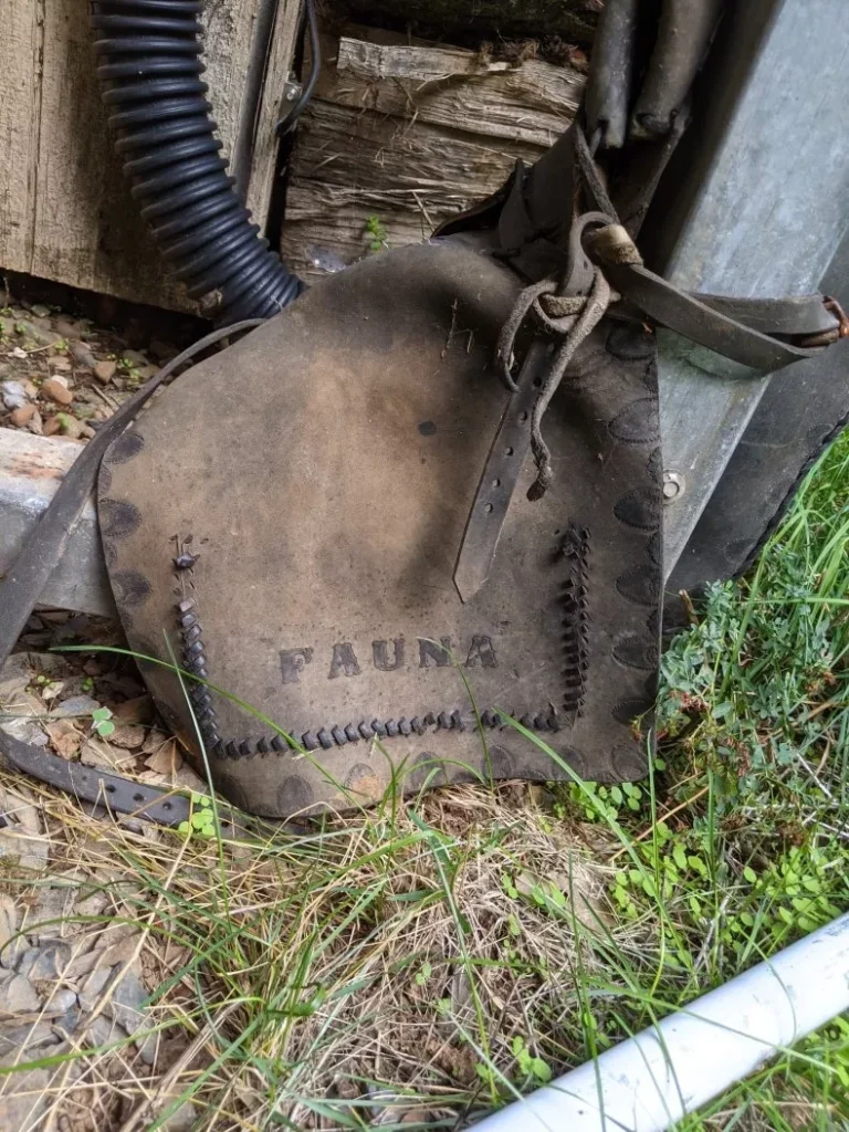 Fauna Frey, Missing Oregon Woman, Grants Pass, Josephine County, 2020, Silver Coins, Saddlebag, Vanished Without A Trace, Cold Case, Unsolved Mysteries, Cash Reward