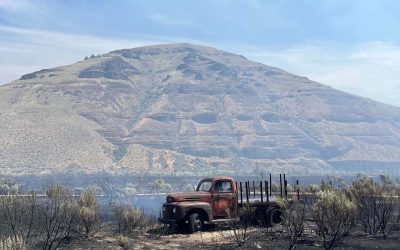 Ferry Fire Ravages 10,000 Acres in Oregon — Here’s How It Started and Where It’s Headed