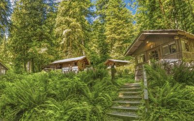 We Found the Coziest Cabins in Oregon and They’re Inside a Waterfall Wonderland