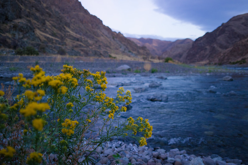 A view of the towering cliffs around the river inside Hell's Canyon.