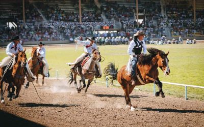 Experience the Thrill of Oregon’s Legendary Pendleton Round Up This September
