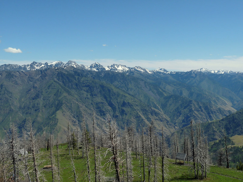 The Seven Devils mountains capped with snow across Hells Canyon. Dead trees stand on a grassy space high above the canyon, and the canyon stretches out between the viewer and the Seven Devils mountains.