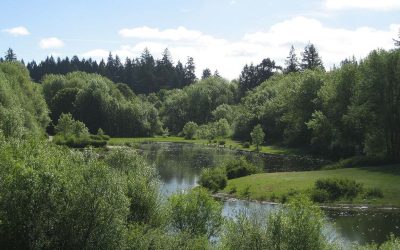 Hillsboro Kayaker Finds Human Remains in Tualatin River