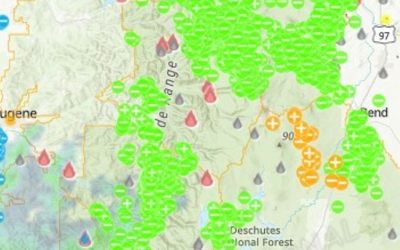 Nearly 1,000 Lightning Flashes Strike Lane County, Spark New Wildfires