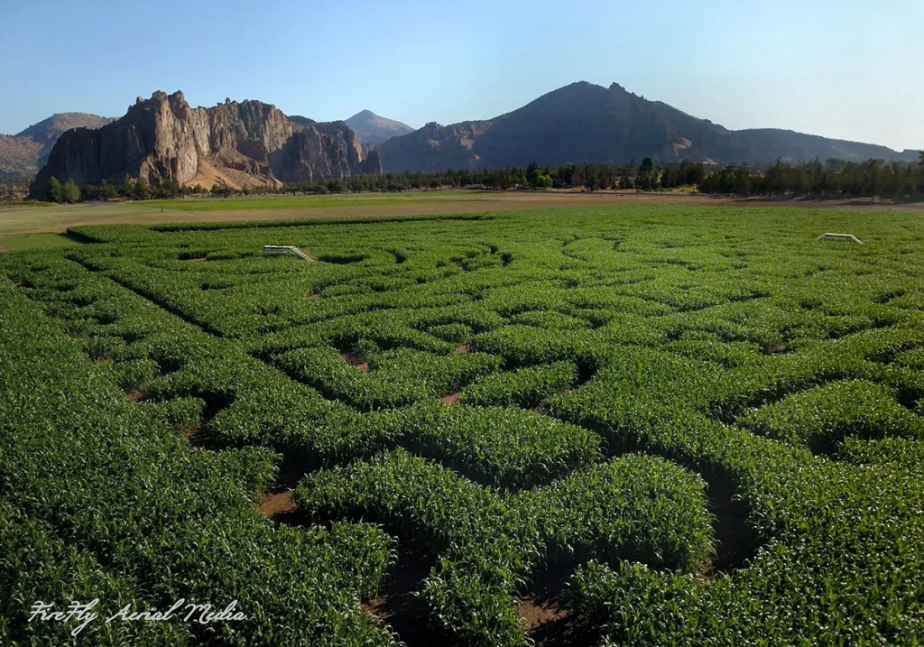 Smith Rock Ranch, Terrebonne Oregon, Family Fun, Central Oregon, Bend, Redmond, Things To Do, Pumpkin Patch, Hay Rides, Pumpkin Cannon, Giant Corn Maze, East of the Cascades, Dog Friendly Adventures, Good Food, Mini Golf, Best of Oregon, Fall Activities, Halloween