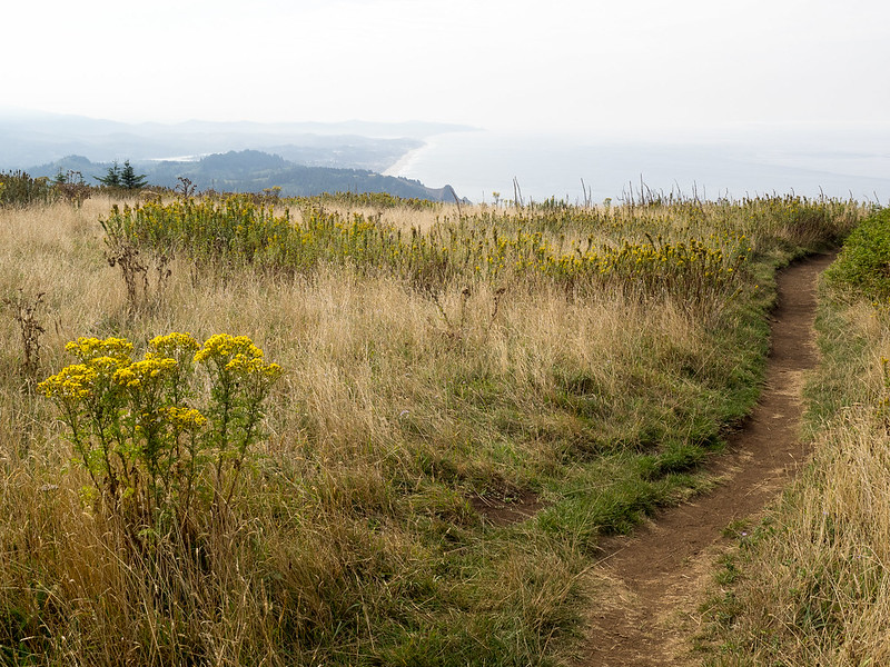 The view from the meadow on Cascade Head.