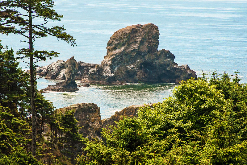 A sea stack as seen from the Clatsop Loop Trail.