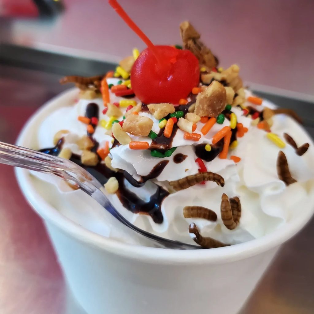 Real bugs served on top of ice cream with a cherry on top and rainbow sprinkles.