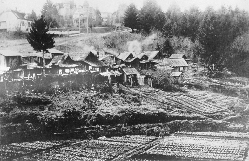 Portland history, Gilded Age, Oregon history, HBO The Gilded Age, Pittock Mansion, Henry Weinhard, Shanghai Tunnels, Old Town Portland, Oregon travel, historical Oregon, Vintage photograph, chinese history, laborers, vegetable garden, 1909, multnomah athletic club