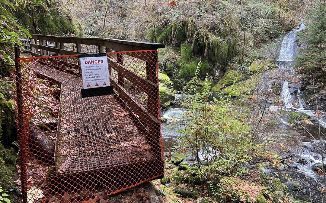 Sweet Creek Trail Impacted by Boardwalk Damage; Northern Access Closed