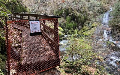 Sweet Creek Trail Impacted by Boardwalk Damage; Northern Access Closed